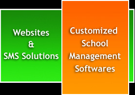 Webstie, SMS solutions & customized softwares